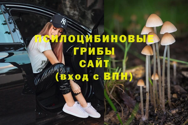jwh Инта