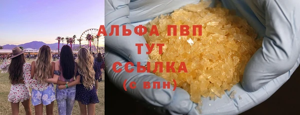 spice Инсар